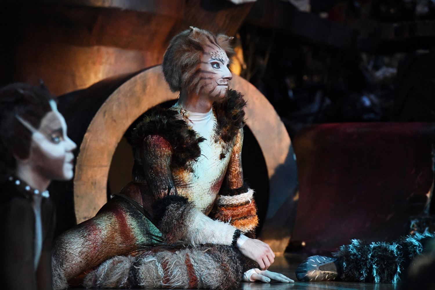 Matthew Rowland, Skimbleshanks, Cats