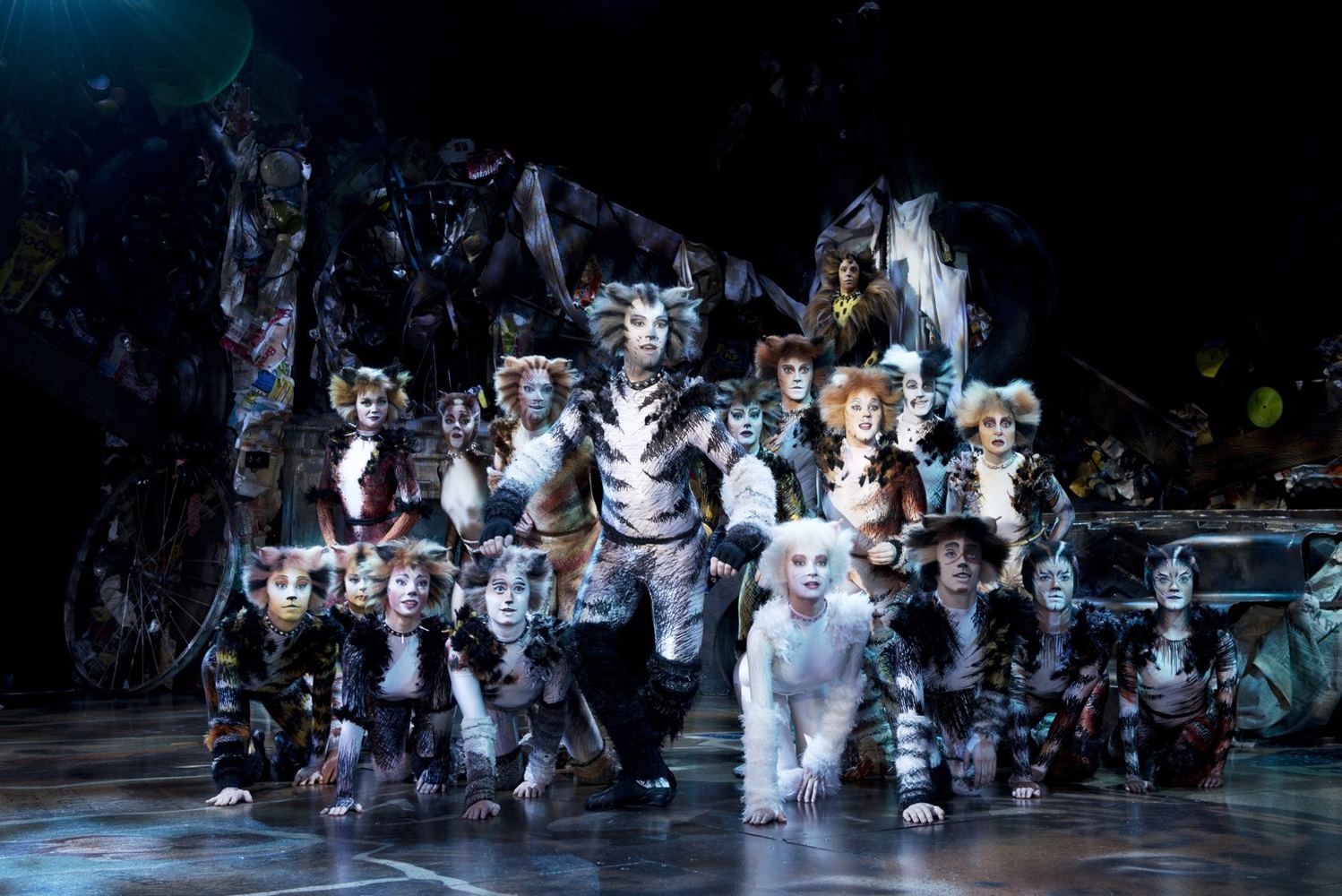 The Jellicles